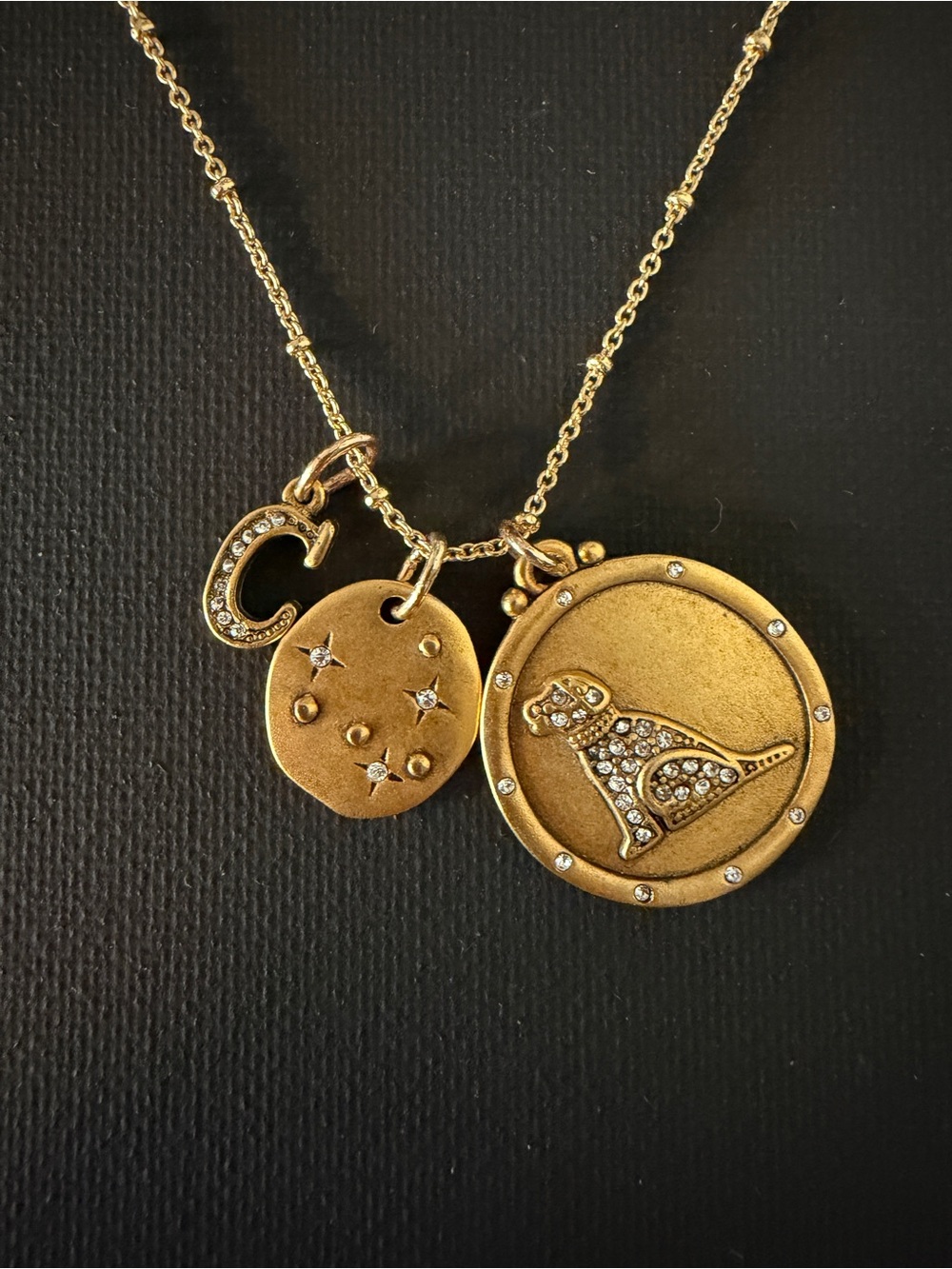 Sajen Gold Tone Dog Charm Necklace | Crystal Accents | 34” Adjustable